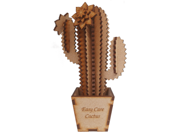 Easy Care: Saguaro Cactus - Build Your Own